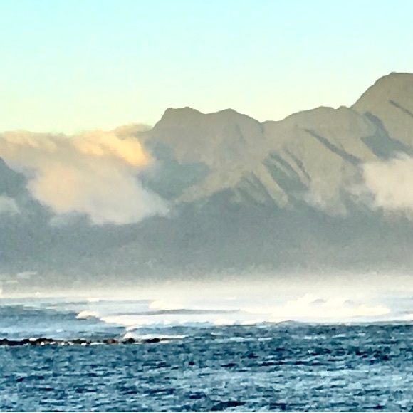 Meet your Posher, Pineapple Betsy - Picture 9 of 12